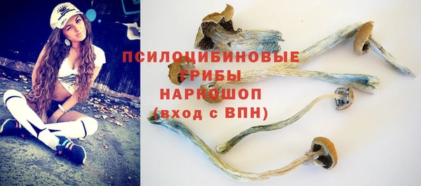 соль ск Абаза