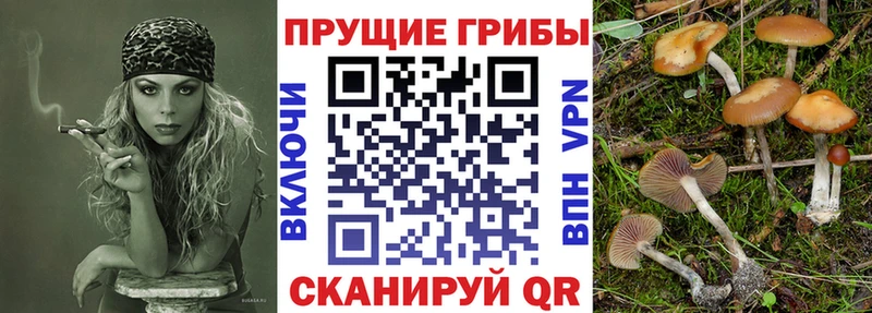 Псилоцибиновые грибы Psilocybine cubensis  купить наркотики цена  Алдан 